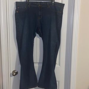 Torrid Source of Wisdom jeans